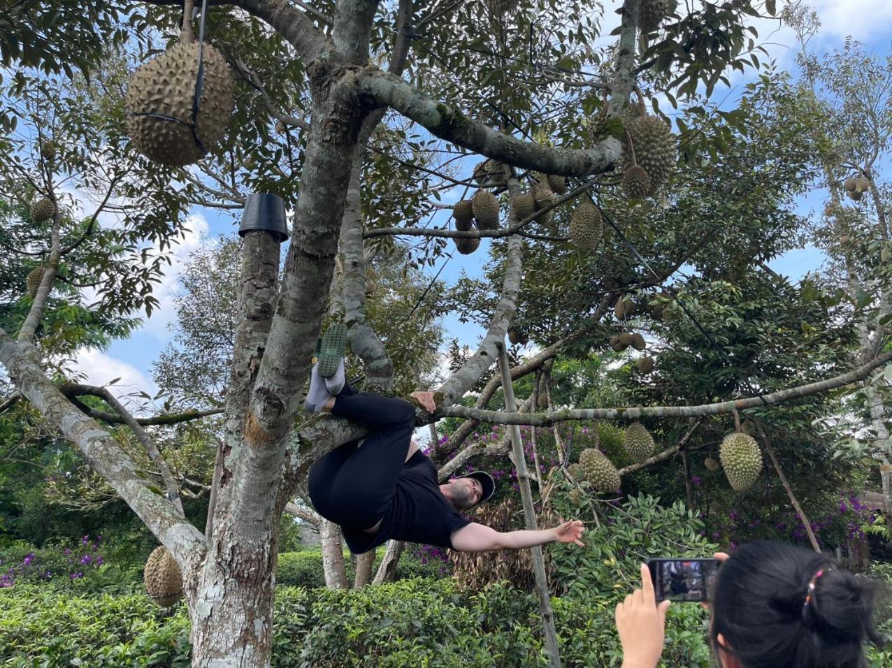 バオロク Tea Garden Houseヴィラ エクステリア 写真