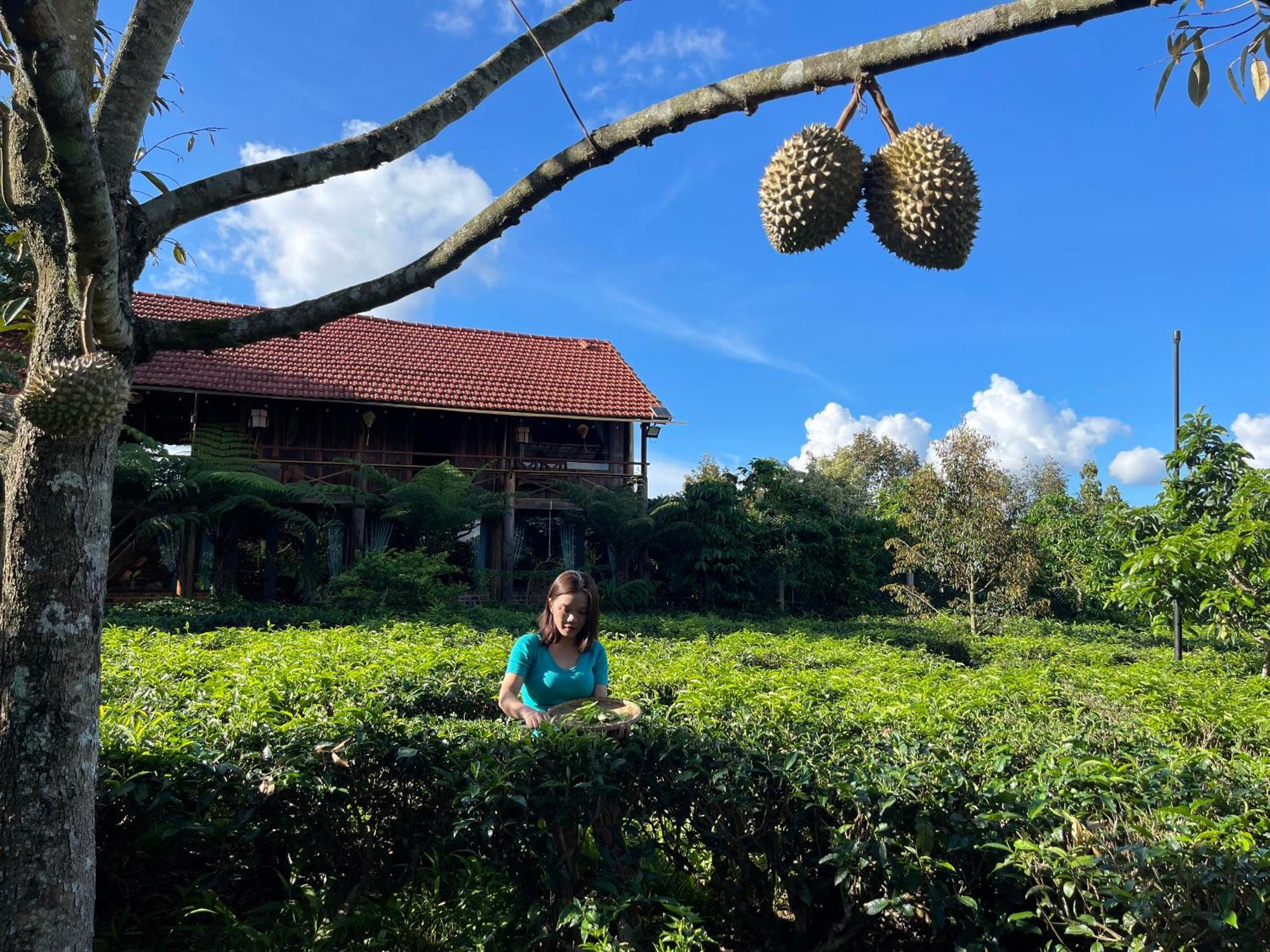 バオロク Tea Garden Houseヴィラ エクステリア 写真