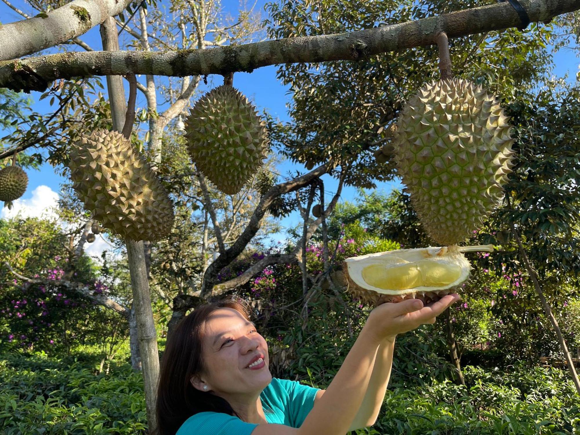 バオロク Tea Garden Houseヴィラ エクステリア 写真
