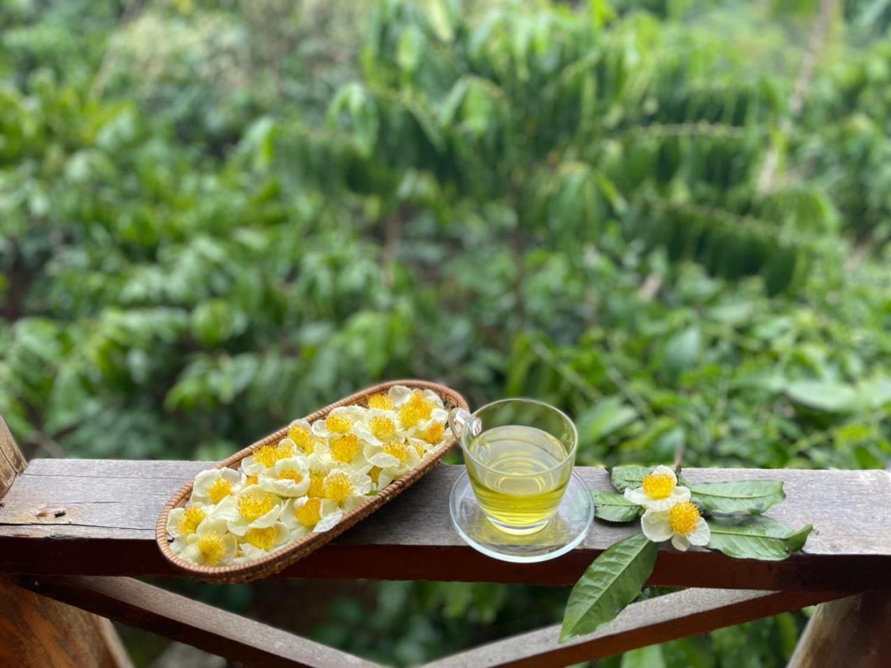 バオロク Tea Garden Houseヴィラ エクステリア 写真