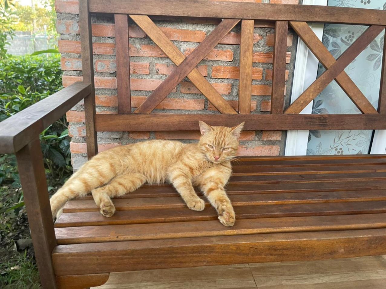 バオロク Tea Garden Houseヴィラ エクステリア 写真