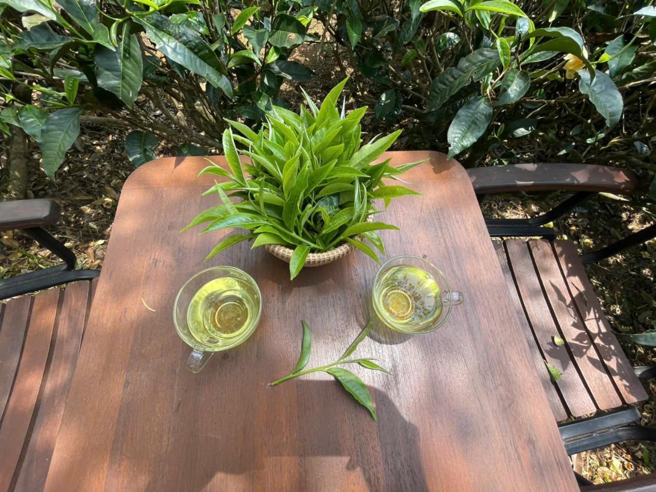 バオロク Tea Garden Houseヴィラ エクステリア 写真