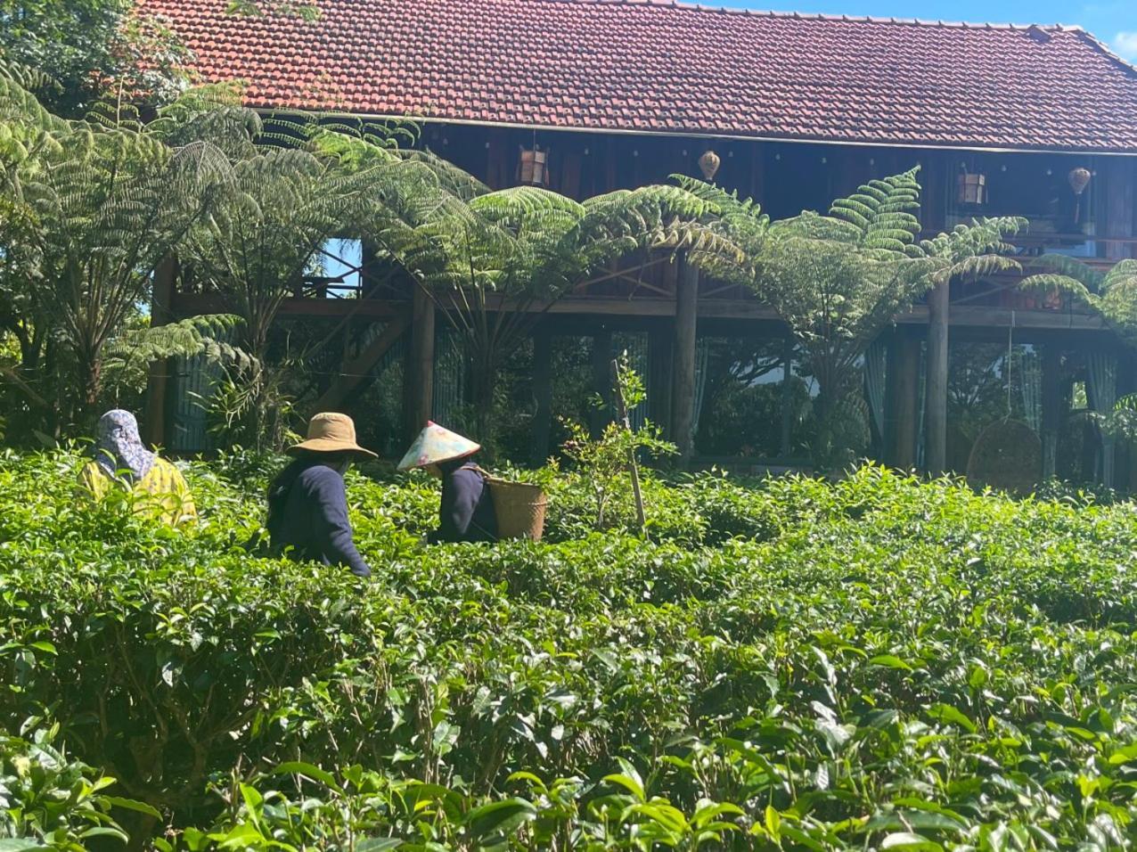 バオロク Tea Garden Houseヴィラ エクステリア 写真